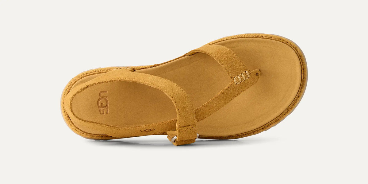 Ugg Women's GoldenGaze Toe Post-Wheat Field