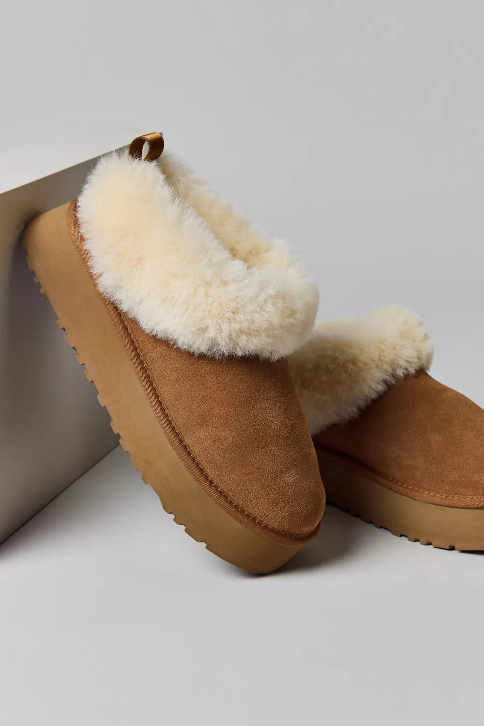 Ugg Women's Tazzelle Chestnut - HEMEN TESLİMDE