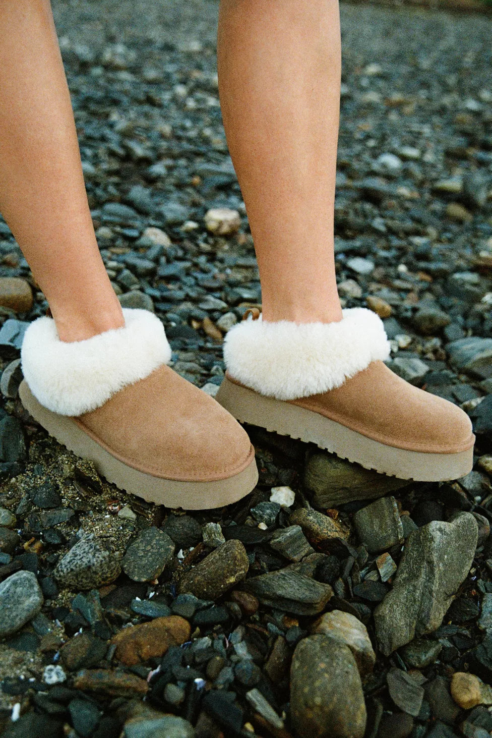 Ugg Women's Tazzelle Chestnut - HEMEN TESLİMDE