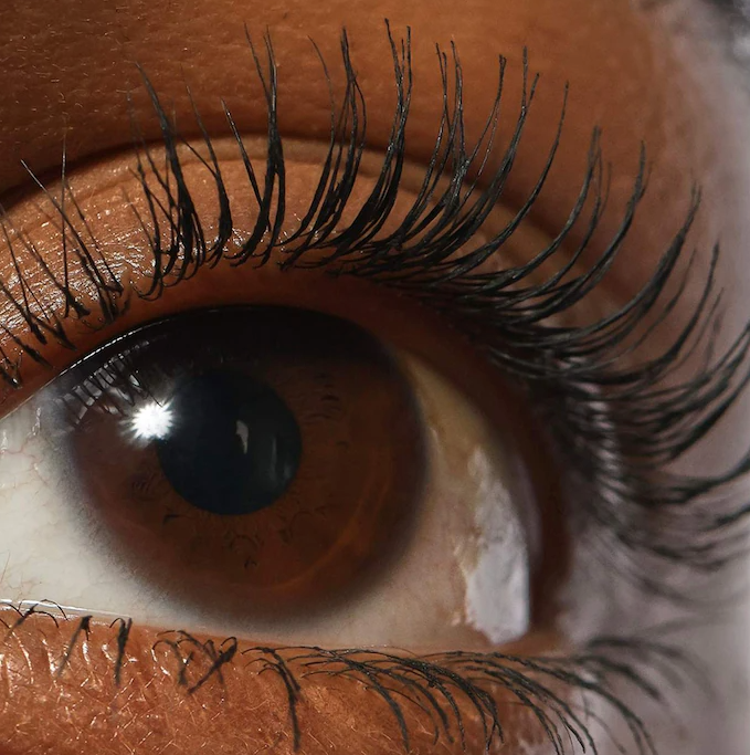 REFY  Lash Sculpt Lengthen and Lift Mascara Black