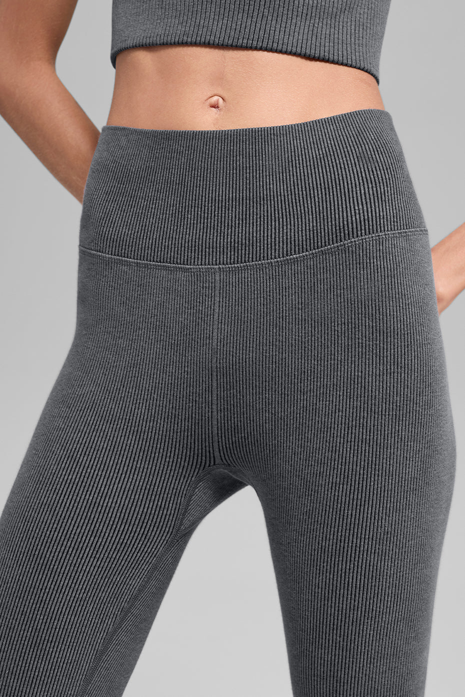 Alo Yoga Seamless High-Waist Two Tone Rib Legging - Dark Misty