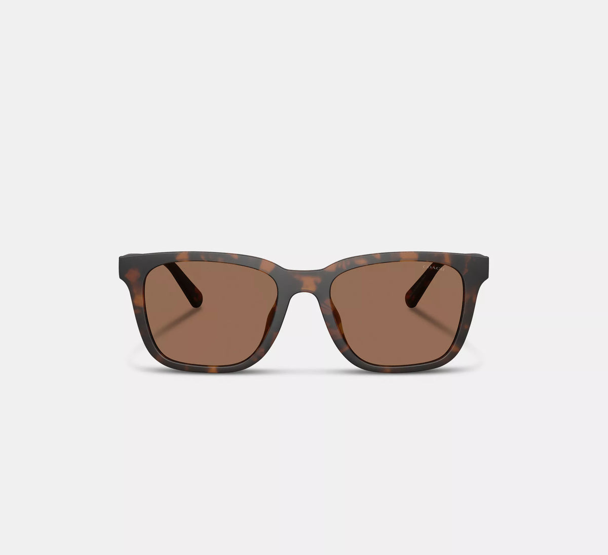 Coach C Hardware Textured Temple Square Sunglasses  -  Dark Tortoise