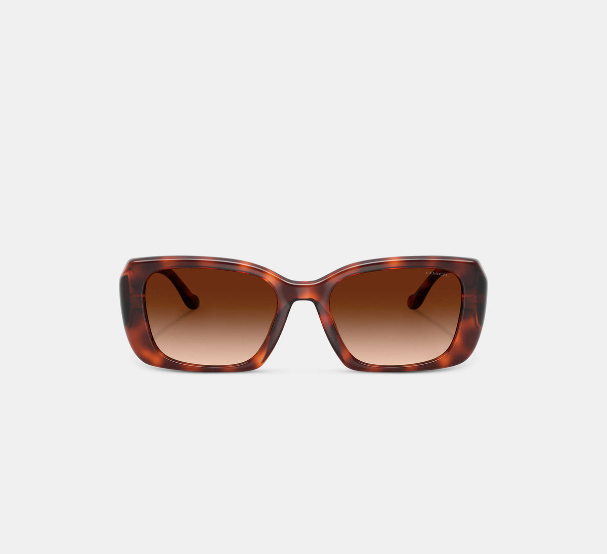 Coach Maxi Sculpted C Oversized Rectangle Sunglasses  -  Caramel Tortoise