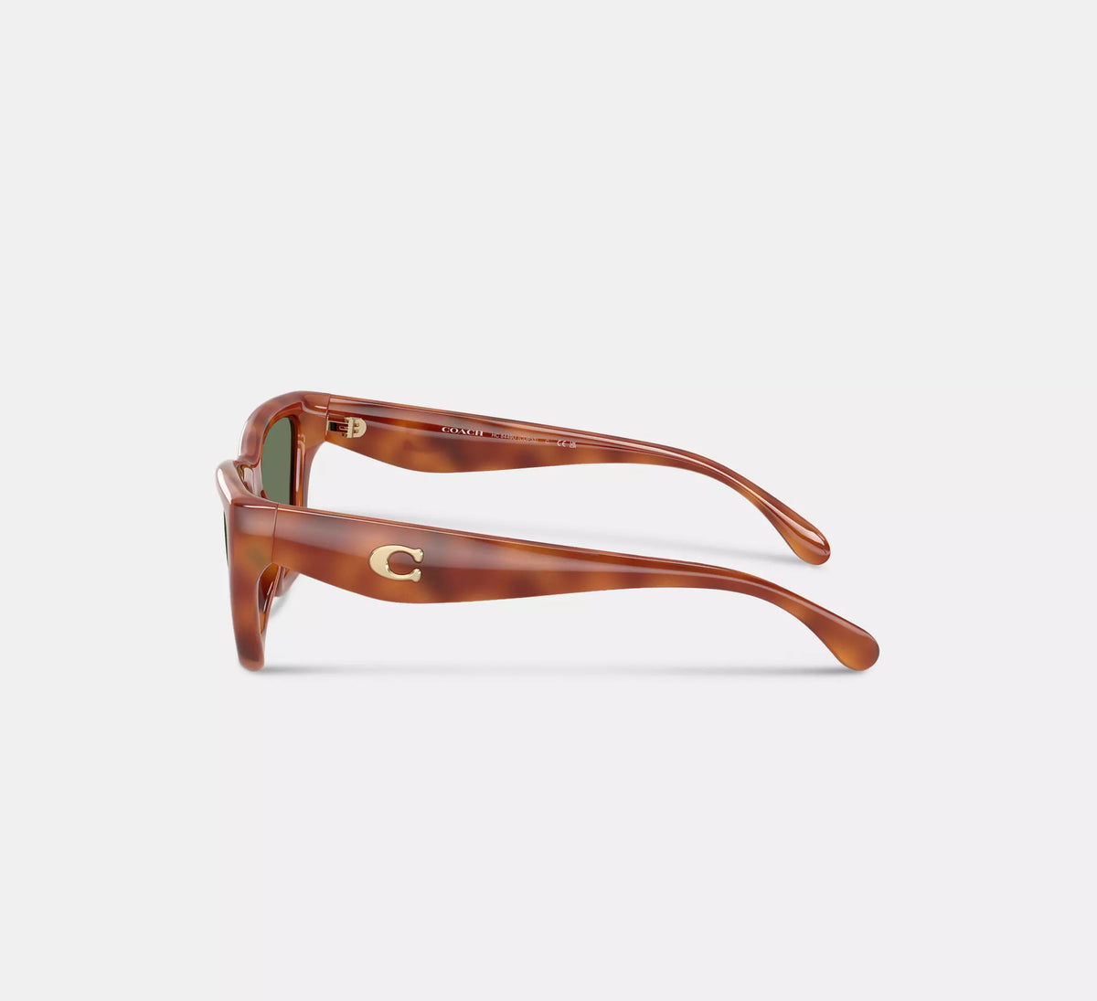 Coach C Hardware Cat Eye Sunglasses  -  Tortoise