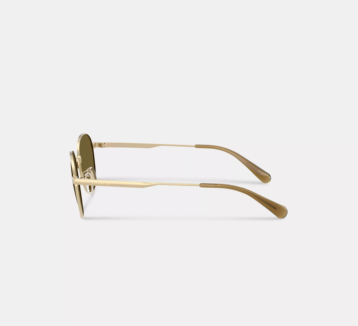 Coach Metal Hangtag Round Sunglasses  - Gold/Green