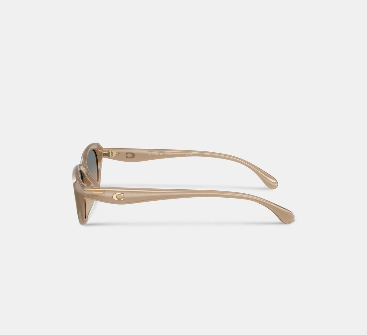 Coach C Hardware Oval Cat Eye Sunglasses  - Toasted Sesame