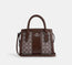 Coach Andrea Carryall Bag In Signature Jacquard Silver/Oak/Maple