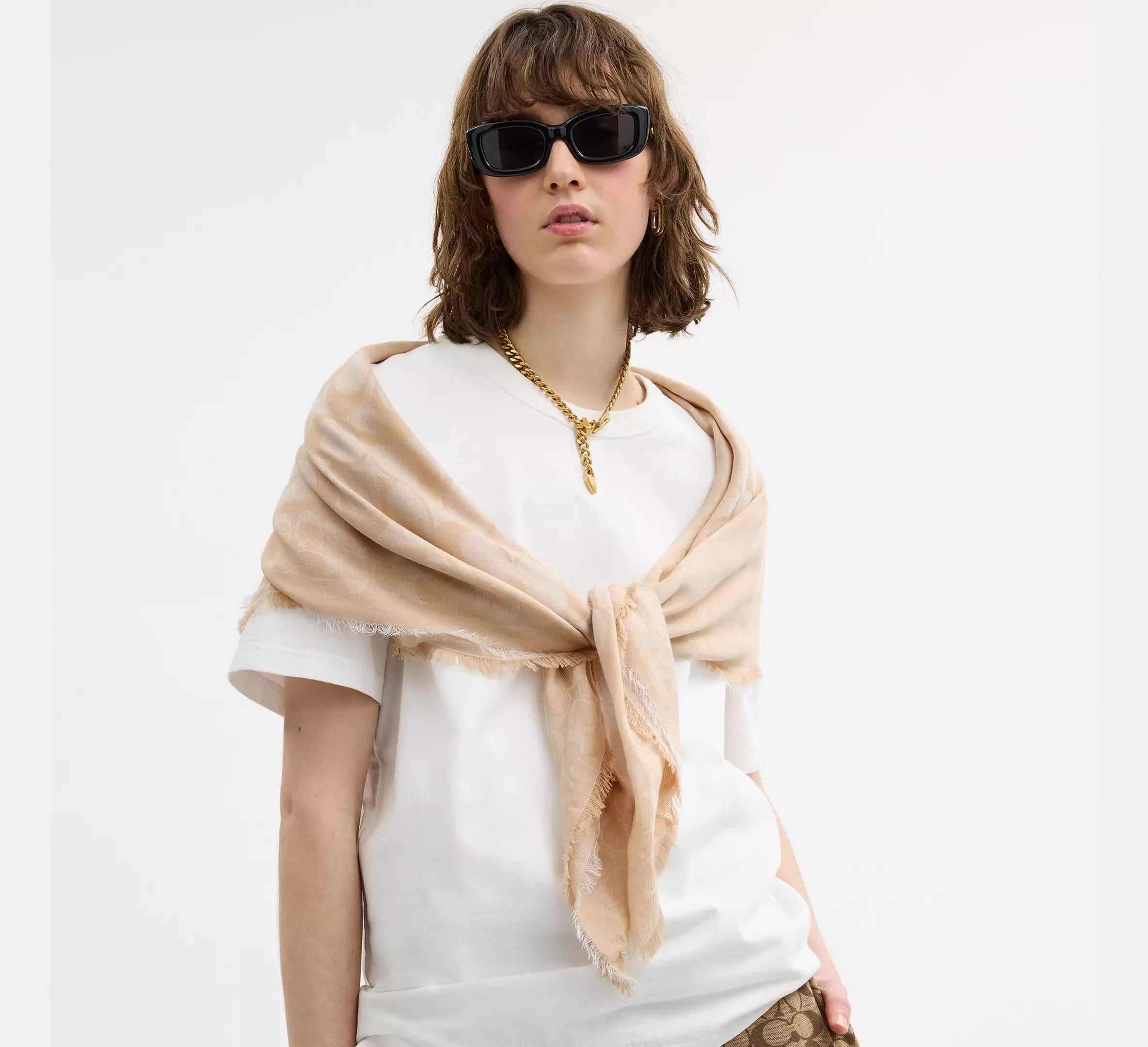 Coach Jumbo Horse And Carriage Wrap - Taupe