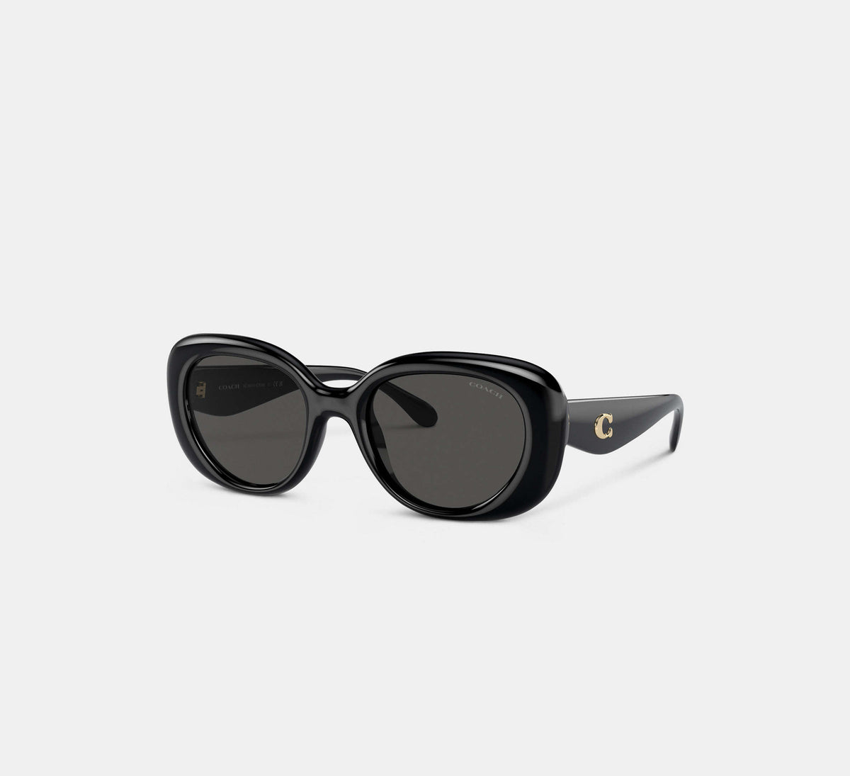 Coach C Hardware Round Sunglasses  -  Black