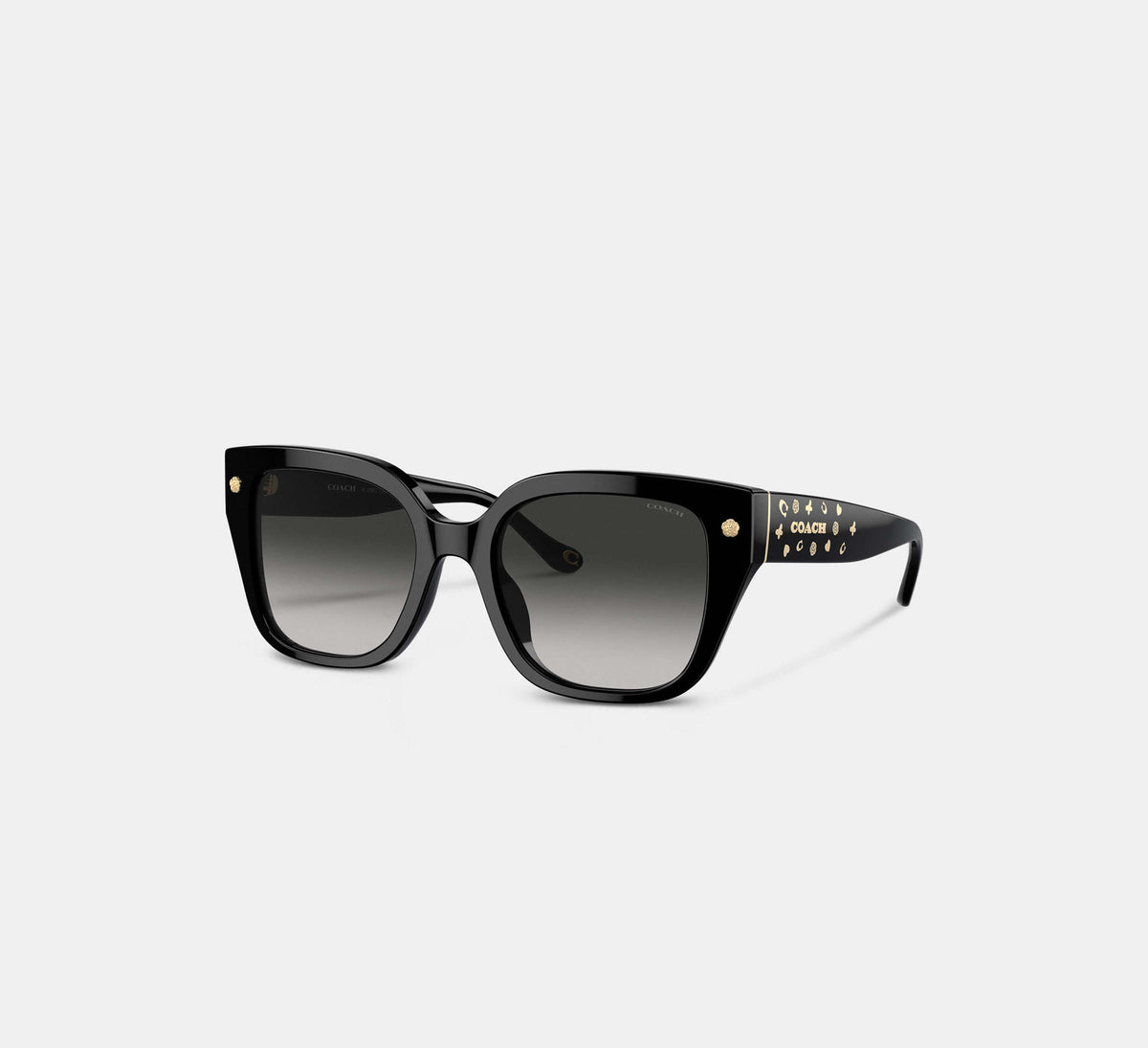 Coach Charms Oversized Square Sunglasses  -  Black