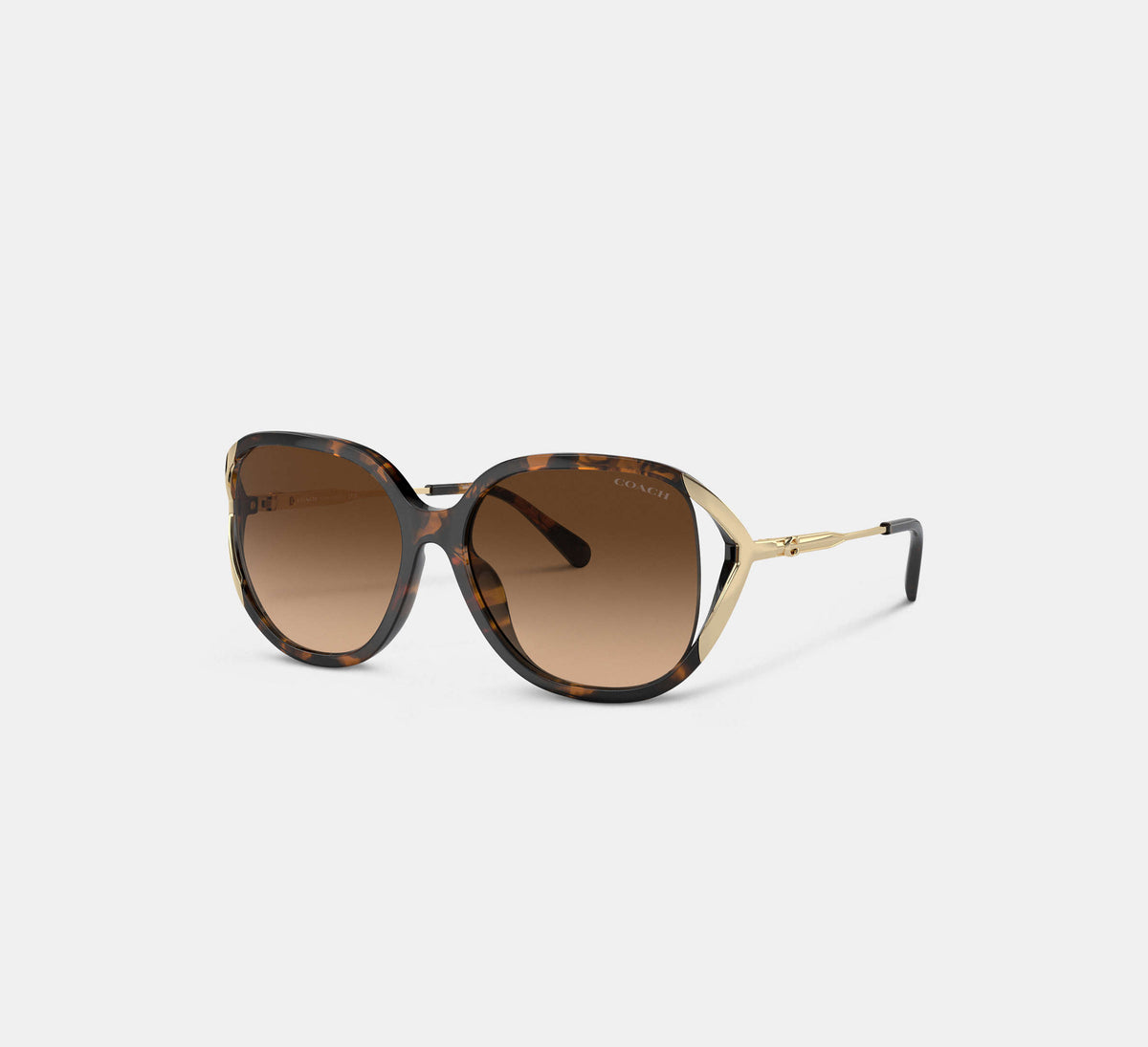 Coach Bandit Oversized Square Sunglasses  -   Dark Tortoise/Gold