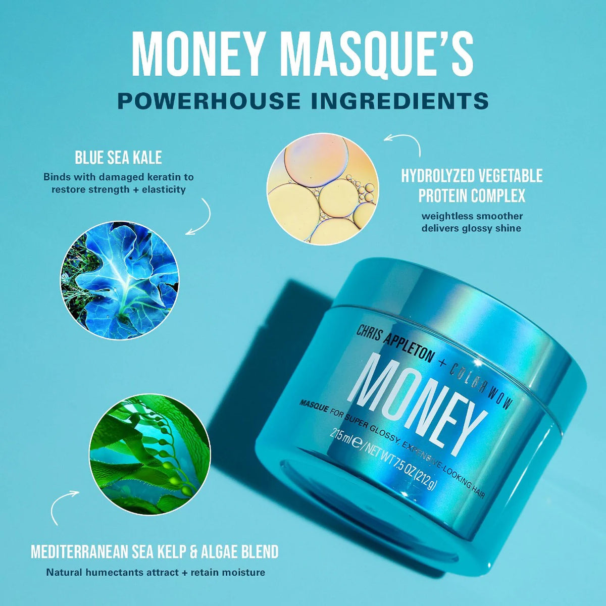 COLOR WOW  Money Mask Deep Hydrating & Strengthening Hair Treatment