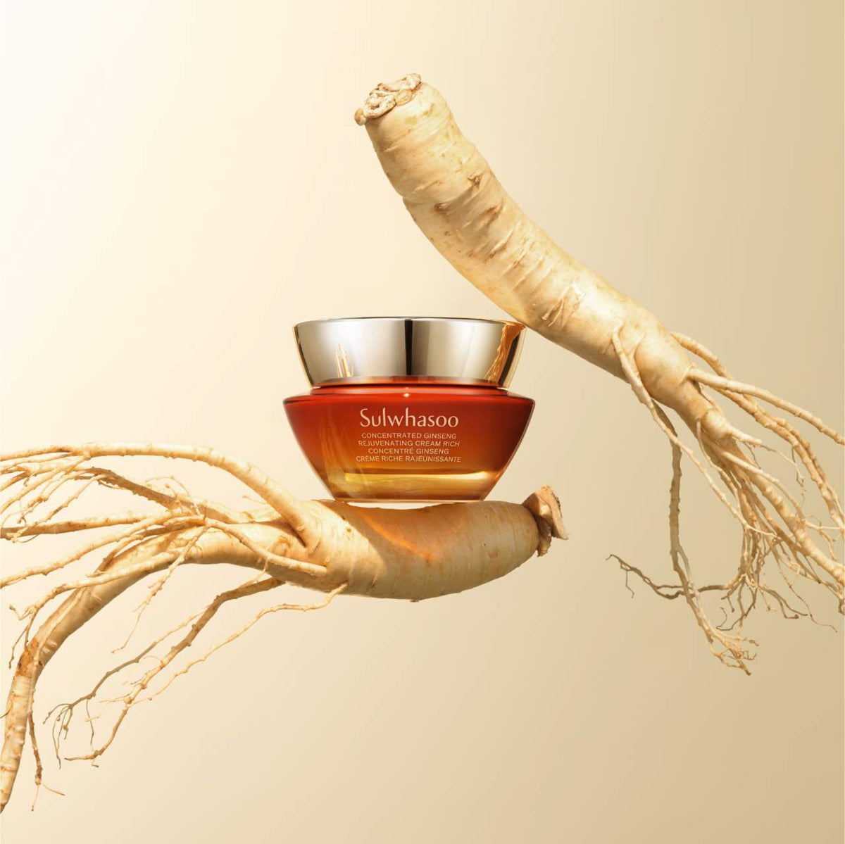 Sulwhasoo  Concentrated Ginseng Rejuvenating Cream Rich for Anti-Aging