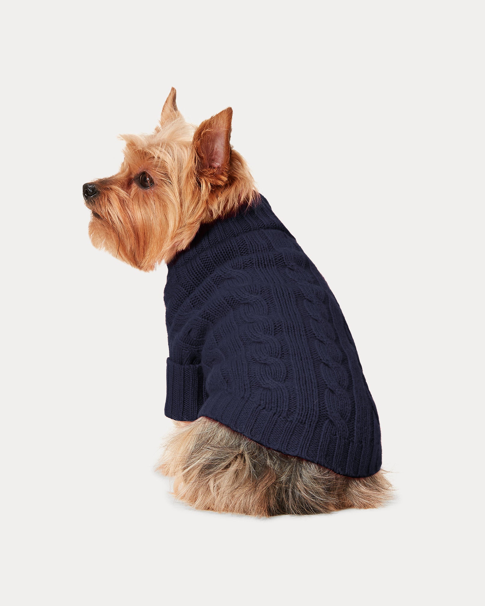 Ralph Lauren Cable-Knit Cashmere Dog Sweater  -  Solid Dark Navy